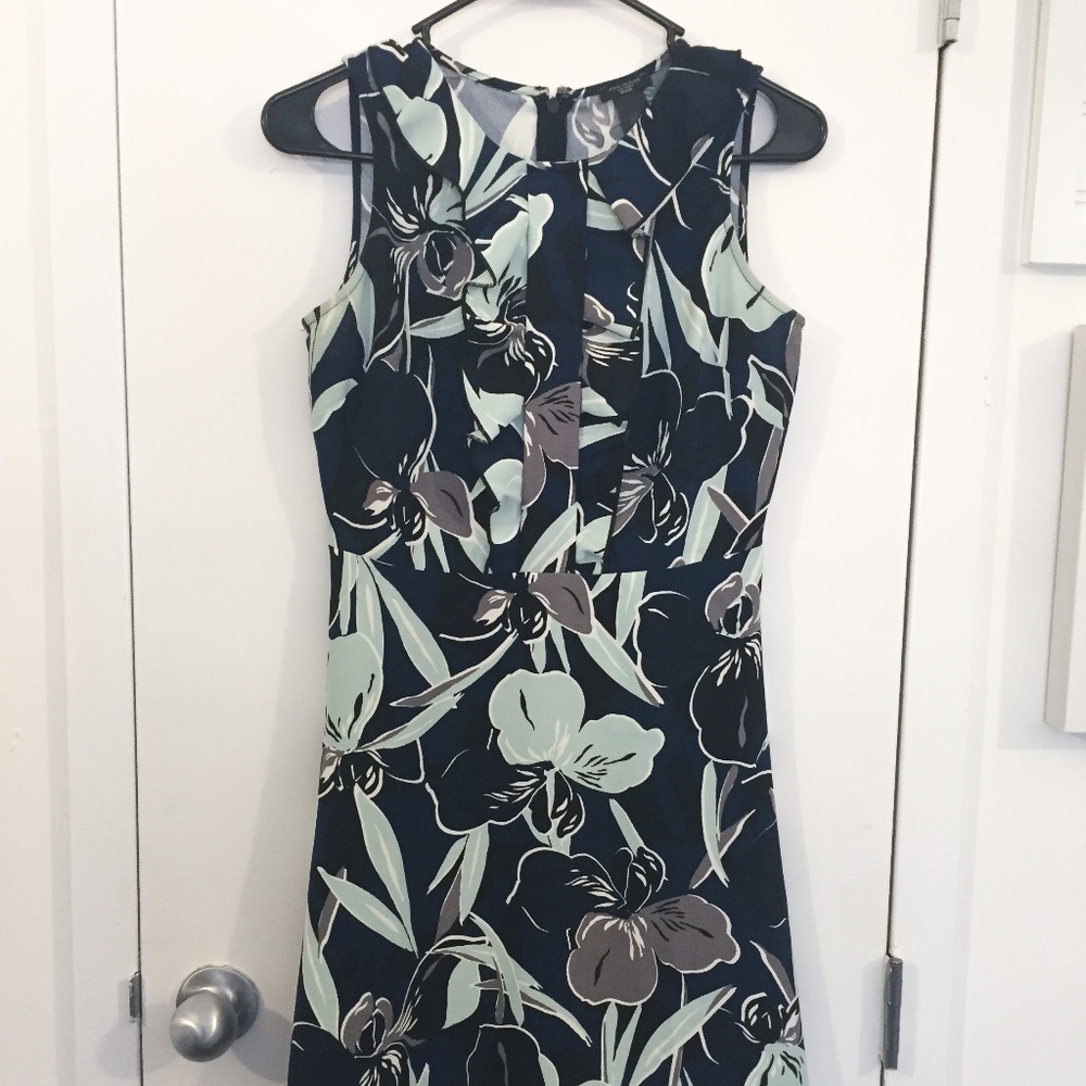 Ann Taylor Factory Petite Navy Floral Dress